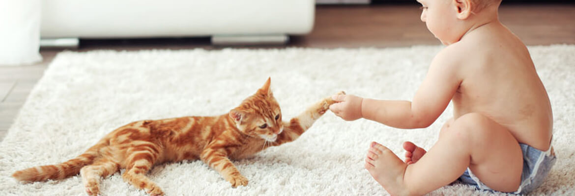 Cat and Baby on Carpet